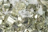 Pyrite and Quartz Crystal Association - Peru #142652-2